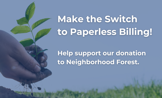 Make the Switch to Paperless! (1)